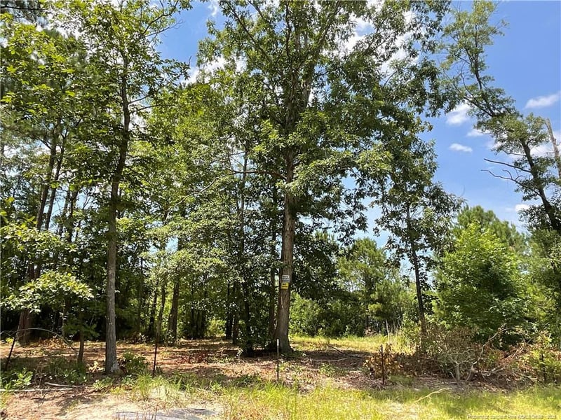 226 Clearview Ct, Sanford, NC 27332