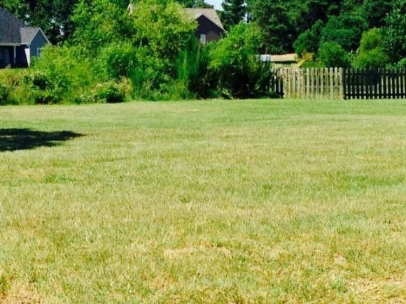 226 Marvin Ferguson, Lillington, NC 27546