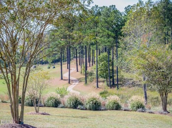 227 Deep Creek Lot 446M, Pittsboro, NC 27312