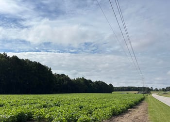 2276 Castleberry Rd, Clayton, NC 27527