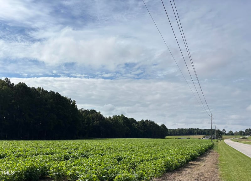 2276 Castleberry Rd, Clayton, NC 27527