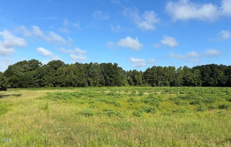 2276 Castleberry Rd, Clayton, NC 27527