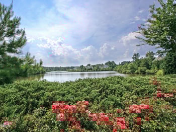 228 Waterford Lake Dr, Cary, NC 27519