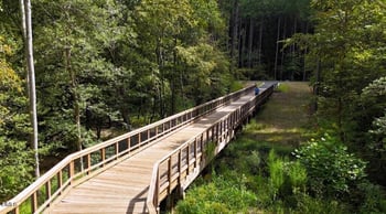 229 Commons Dr, Holly Springs, NC 27540