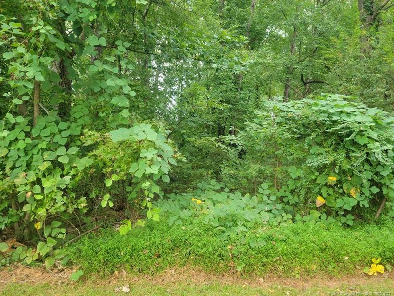 229 Lakeview Dr, Sanford, NC 27332