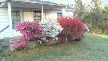 229 Maple Dr, Oxford, NC 27565