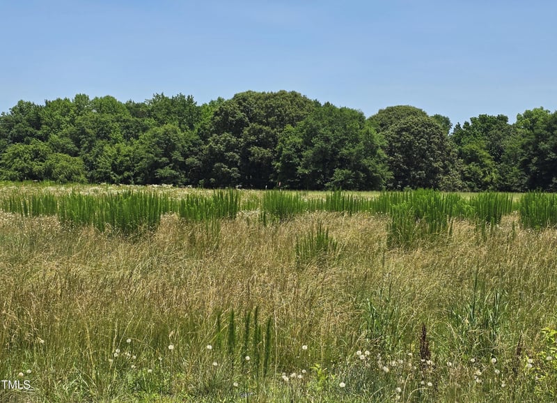 2305 Eddie Howard Rd, Willow Springs, NC 27592