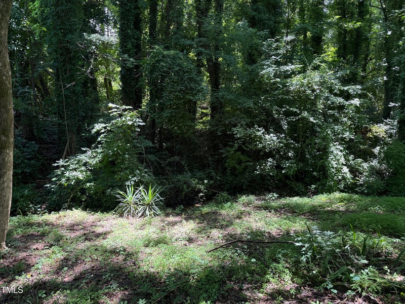 2308 Stonesthrow Ct, Raleigh, NC 27610