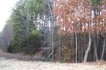 2309 Hill St Lot TR2, Raleigh, NC 27604