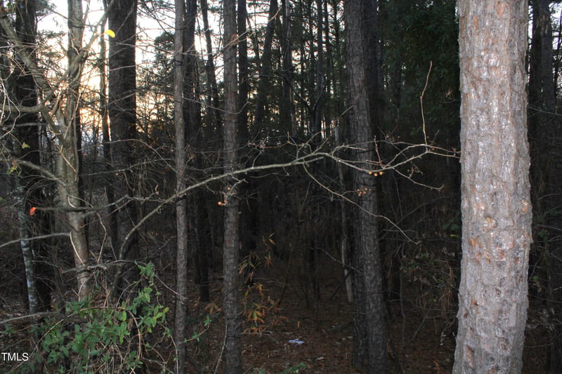 2309 Hill St Lot TR2, Raleigh, NC 27604