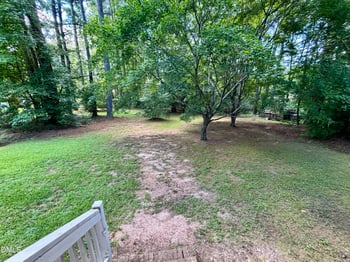 231 Pineland Ave, Clayton, NC 27520