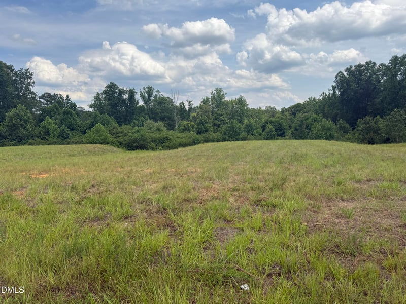 231 River Chapel Dr, Fuquay Varina, NC 27526