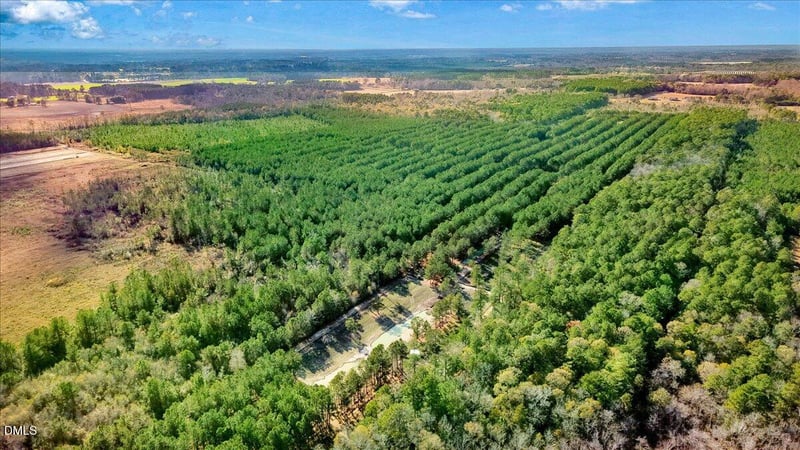 2310 Devils Racetrack Rd, Four Oaks, NC 27524