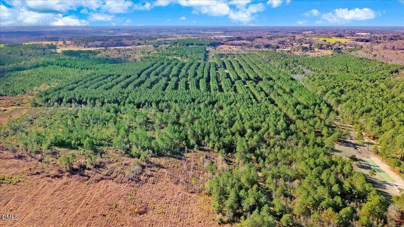 2310 Devils Racetrack Rd, Four Oaks, NC 27524