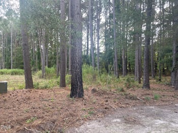 2313 Rigney Ct Lot 9, Willow Springs, NC 27592