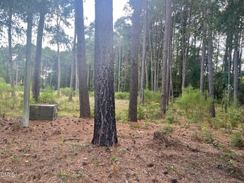 2313 Rigney Ct Lot 9, Willow Springs, NC 27592