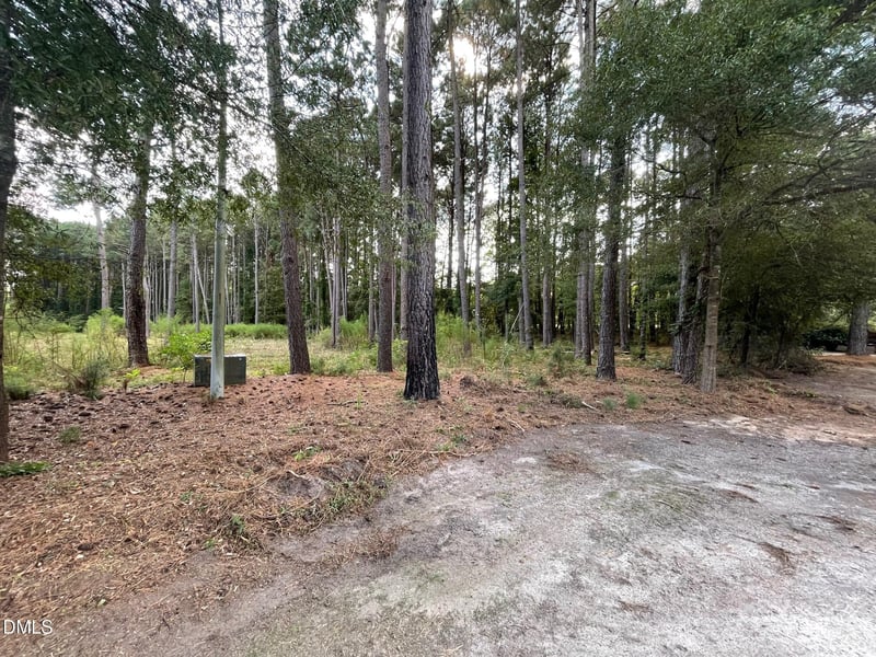 2313 Rigney Ct, Willow Springs, NC 27592