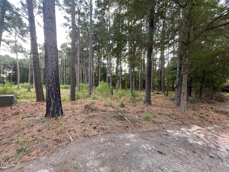 2313 Rigney Ct, Willow Springs, NC 27592