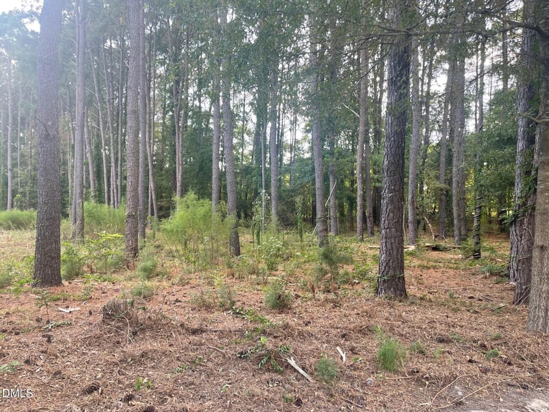 2313 Rigney Ct, Willow Springs, NC 27592