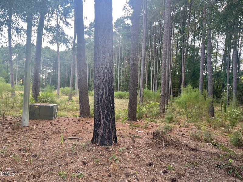 2313 Rigney Ct, Willow Springs, NC 27592