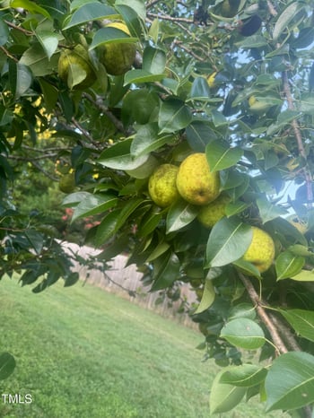 2315 Lansdale Rd, Hillsborough, NC 27278