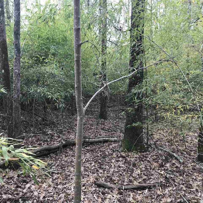 2319 Farrington Rd Lot 3, Apex, NC 27523