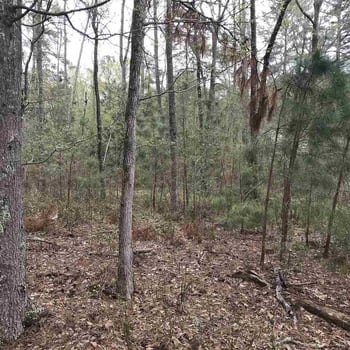 2319 Farrington Rd Lot 3, Apex, NC 27523