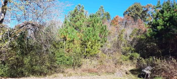 2319 Nc 86 , Hillsborough, NC 27278