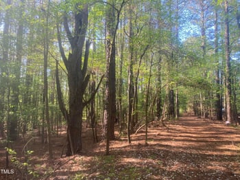 232 Curlew Dr Lot 13 & 14, Chapel Hill, NC 27517