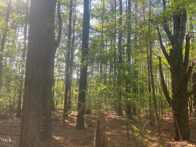 232 Curlew Dr Lot 13 & 14, Chapel Hill, NC 27517