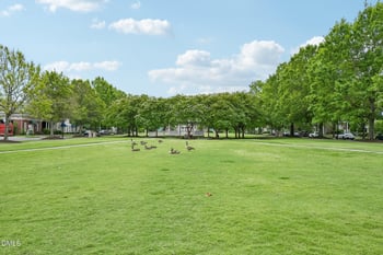 232 Linden Park Ln, Cary, NC 27519