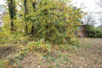 2328 Cheek Rd, Durham, NC 27704