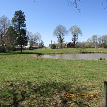 2328 Pleasant Hill Liberty Rd, Liberty, NC 27298
