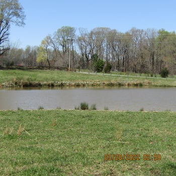 2328 Pleasant Hill Liberty Rd, Liberty, NC 27298