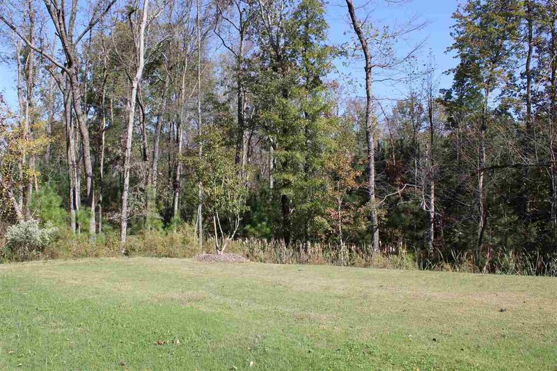2329 Redbud Tree Dr, Apex, NC 27539