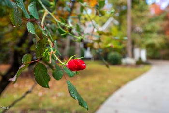 233 Bartlett Dr, Pittsboro, NC 27312