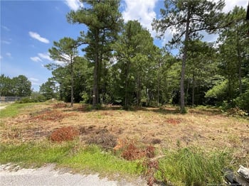 233 Clearview Ct, Sanford, NC 27332