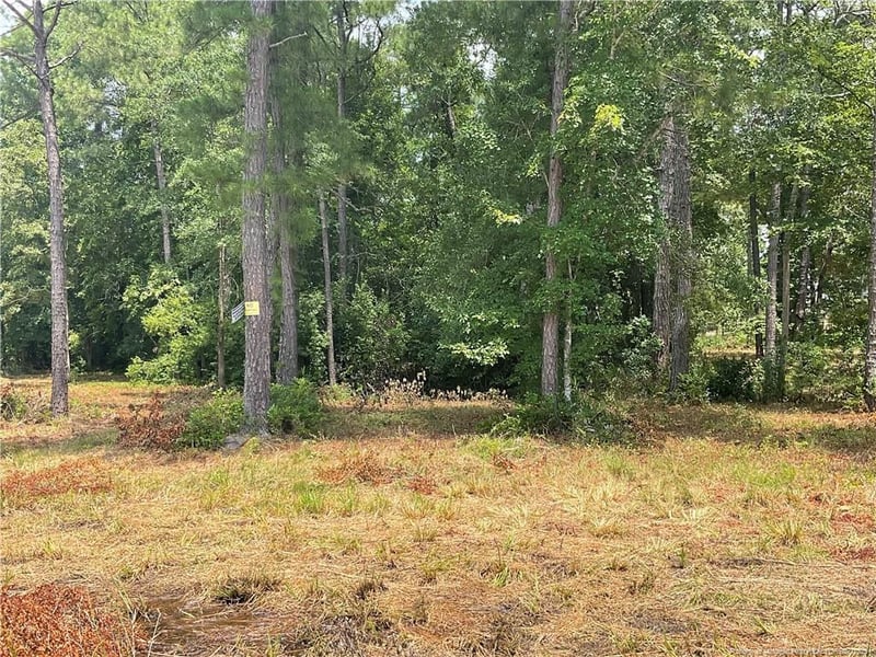 233 Clearview Ct, Sanford, NC 27332