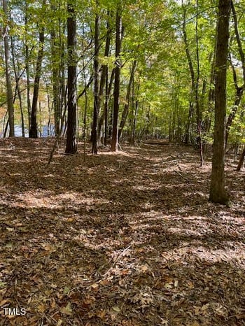 234 Hillcrest Ln, Clayton, NC 27520