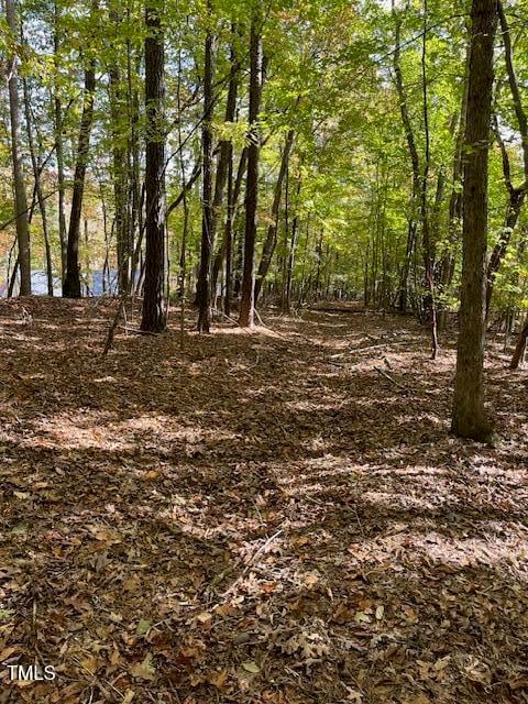 234 Hillcrest Ln, Clayton, NC 27520