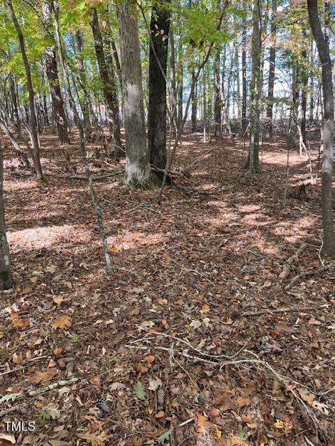 234 Hillcrest Ln, Clayton, NC 27520