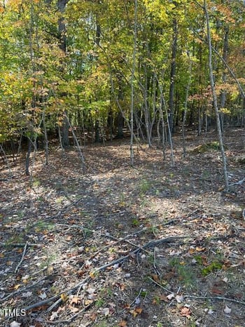 234 Hillcrest Ln, Clayton, NC 27520