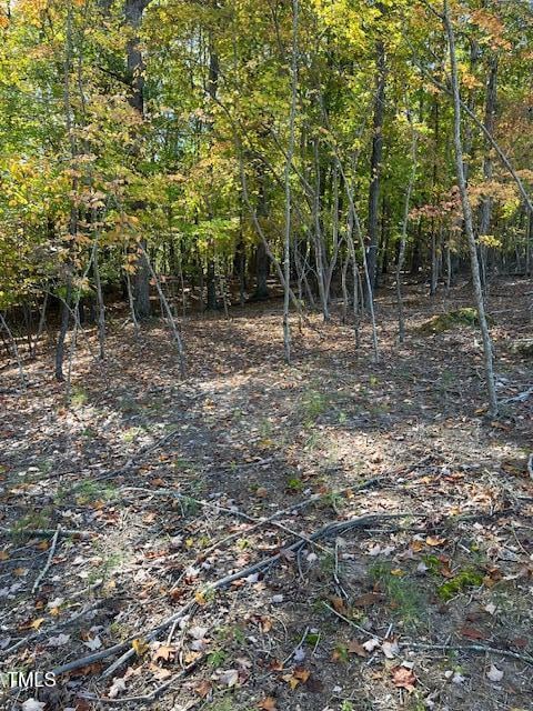 234 Hillcrest Ln, Clayton, NC 27520