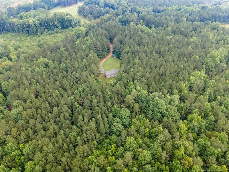 2342 Thomas Kelly Rd, Sanford, NC 27330