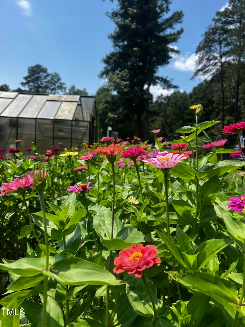2345 Honeypot Ln, Chapel Hill, NC 27516