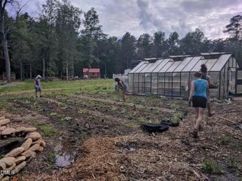 2345 Honeypot Ln, Chapel Hill, NC 27516