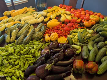 2345 Honeypot Ln, Chapel Hill, NC 27516