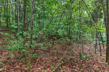 235 Eagle Dr, Louisburg, NC 27549