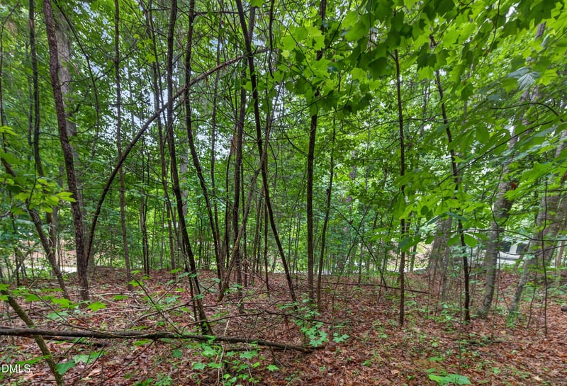 235 Eagle Dr, Louisburg, NC 27549