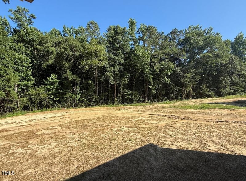 236 Alden Way, Angier, NC 27501